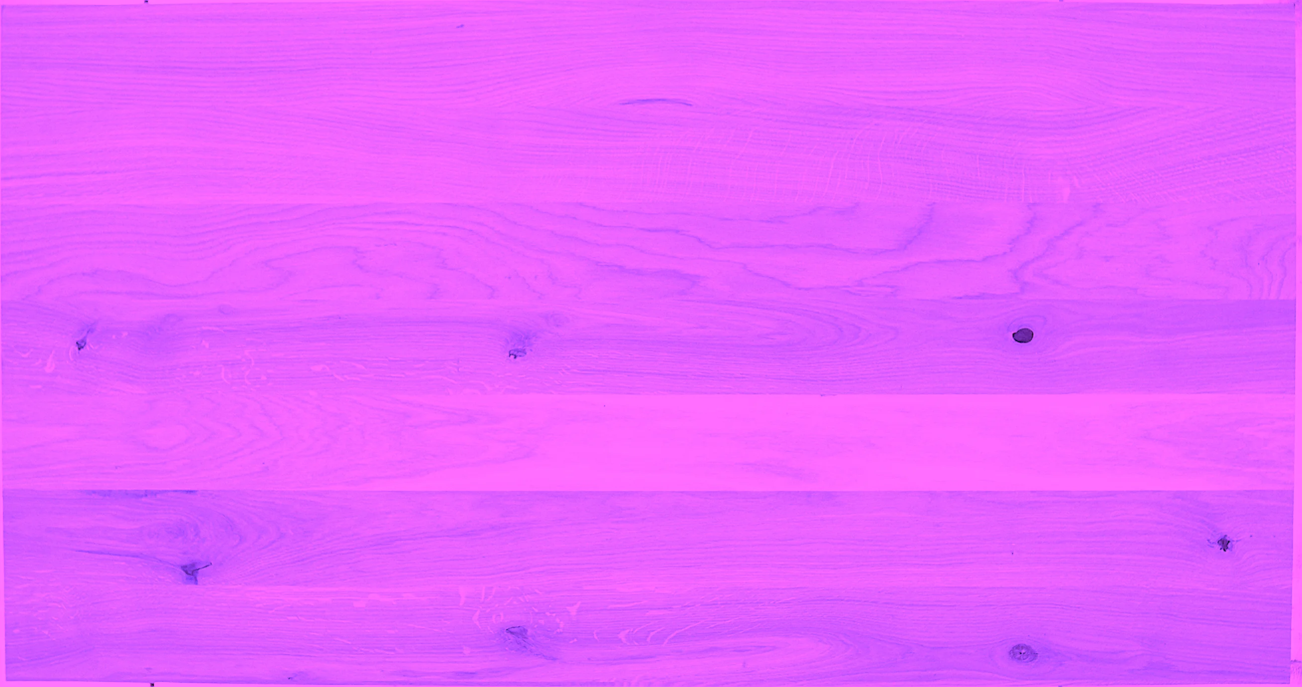 Fichte